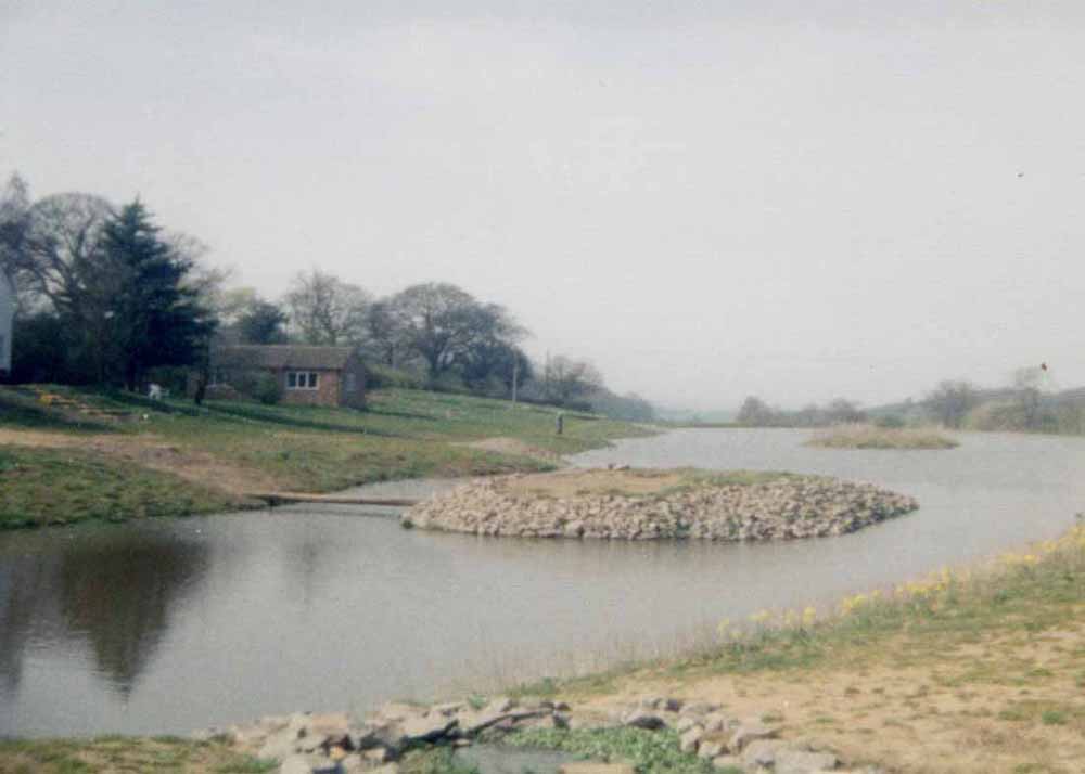 96058 pond 1996