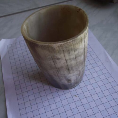 Miscellaneous 23 Horn Cup1