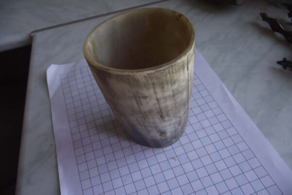 Horn Cup1