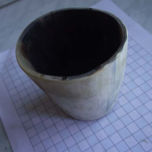 Miscellaneous 24 Horn Cup2